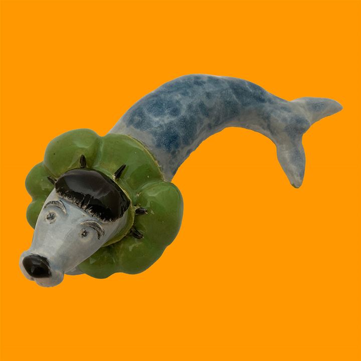 Grote afbeelding Zeehond